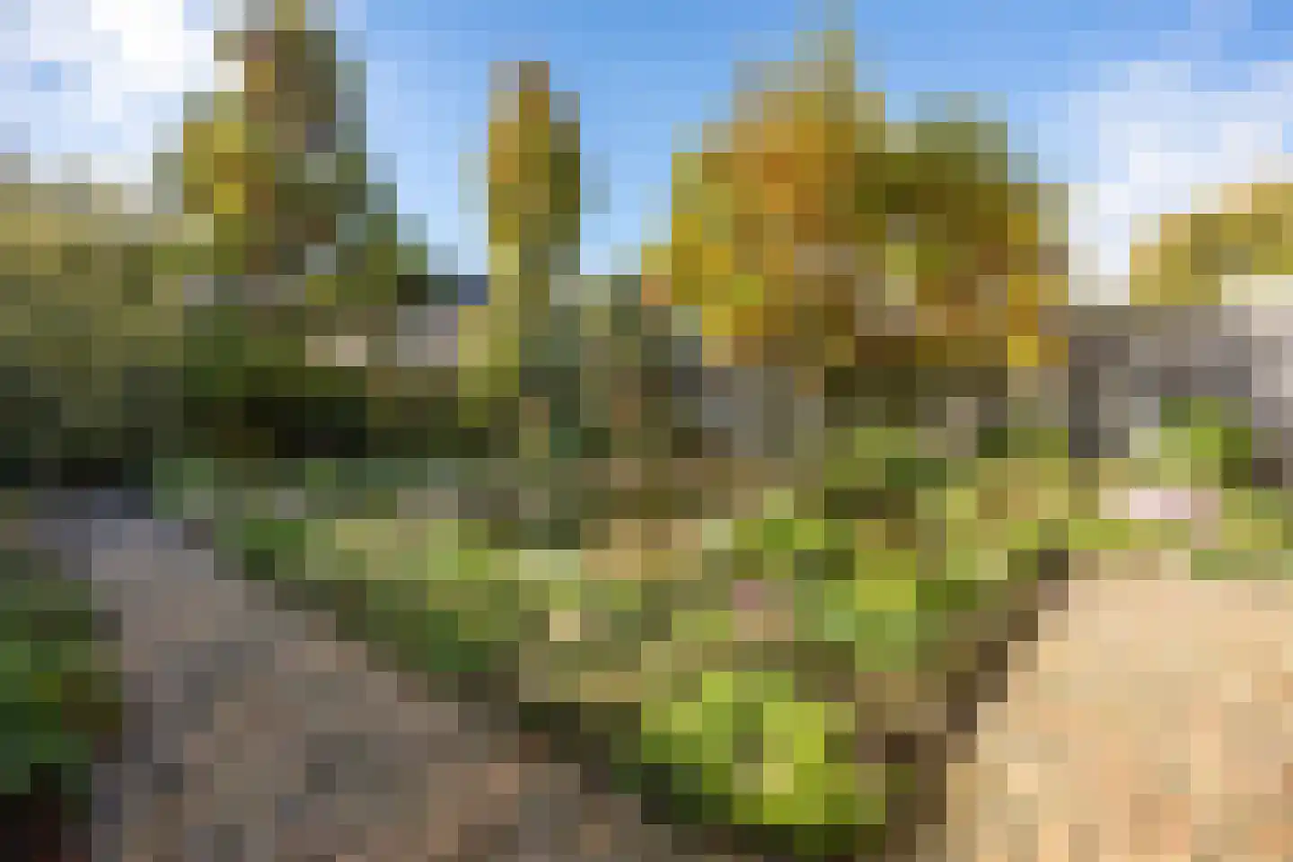 Bunschotenlaan 6 Lelystad thumbnail 37