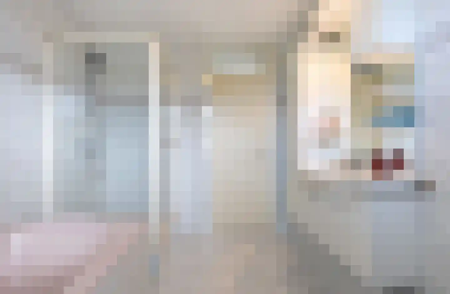 Bunschotenlaan 6 Lelystad thumbnail 4