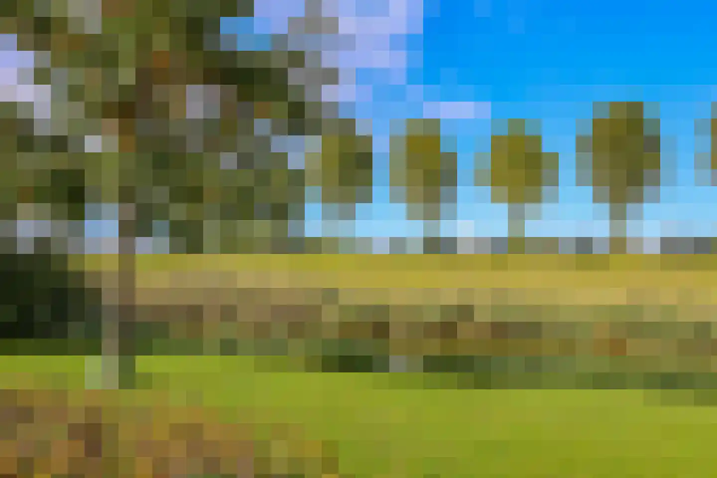 Bunschotenlaan 6 Lelystad thumbnail 41