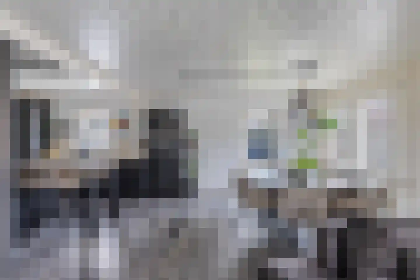 Bunschotenlaan 85 Emmeloord thumbnail 14
