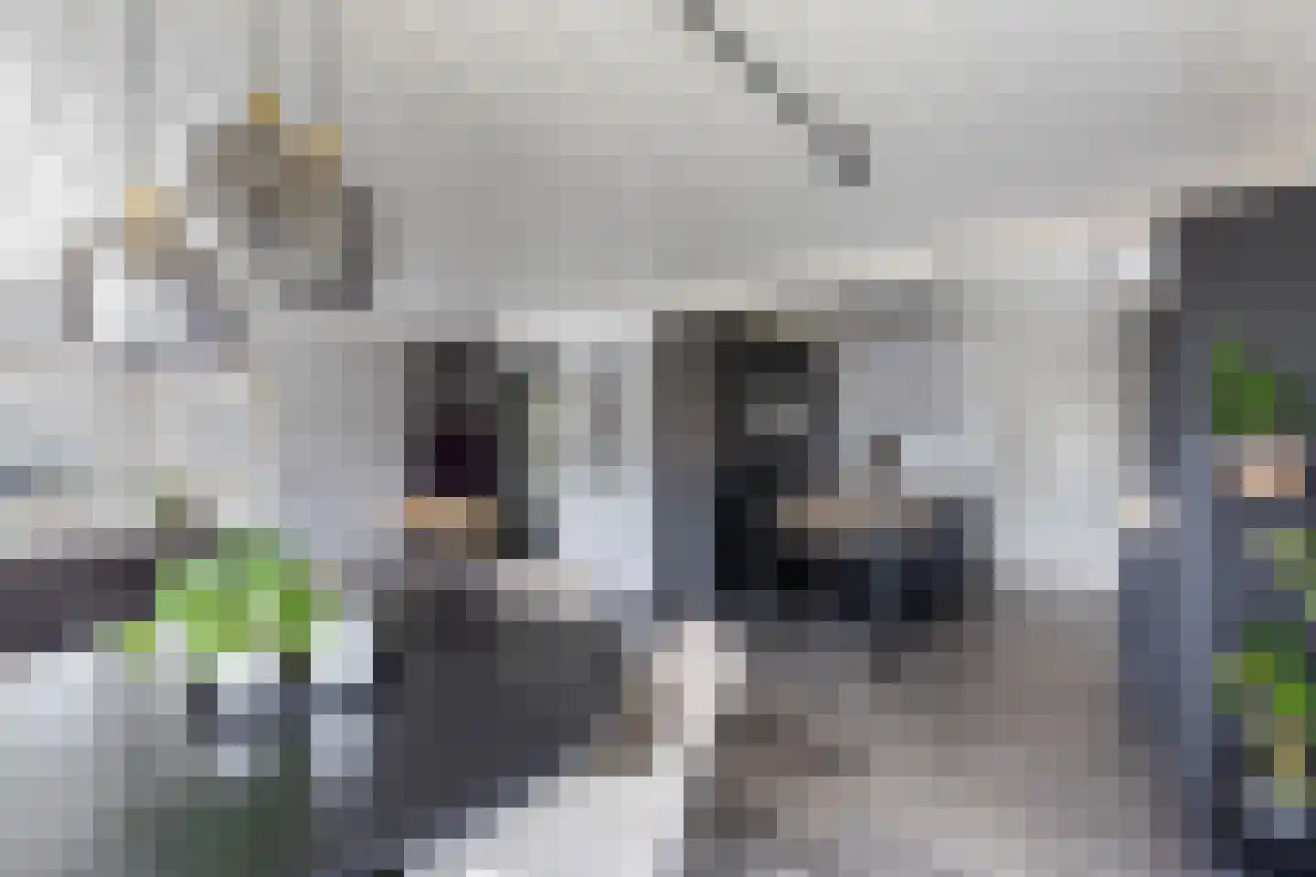 Bunschotenlaan 85 Emmeloord thumbnail 17
