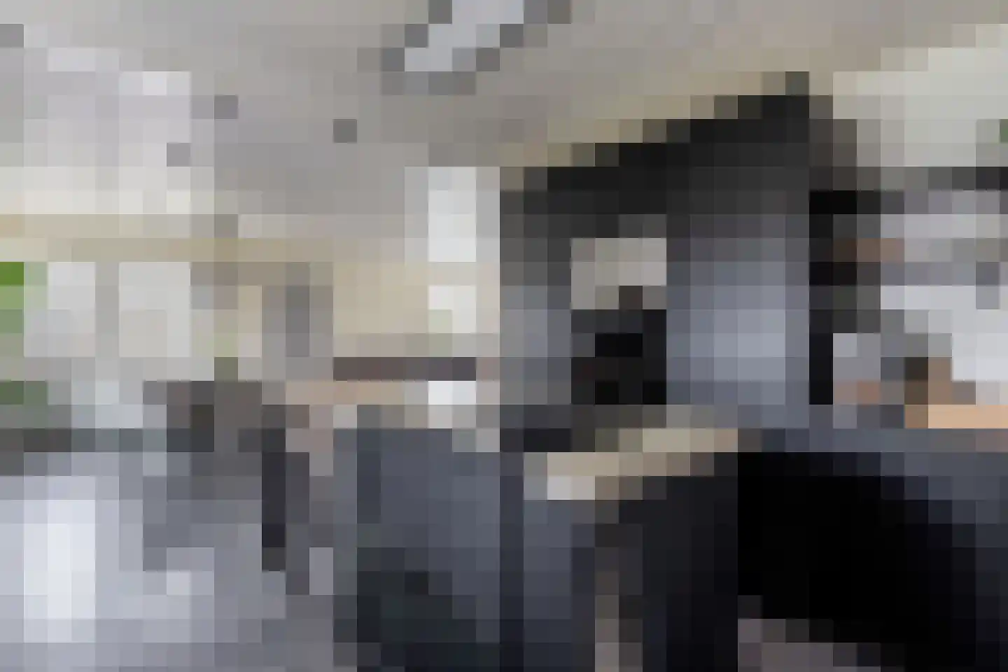 Bunschotenlaan 85 Emmeloord thumbnail 21