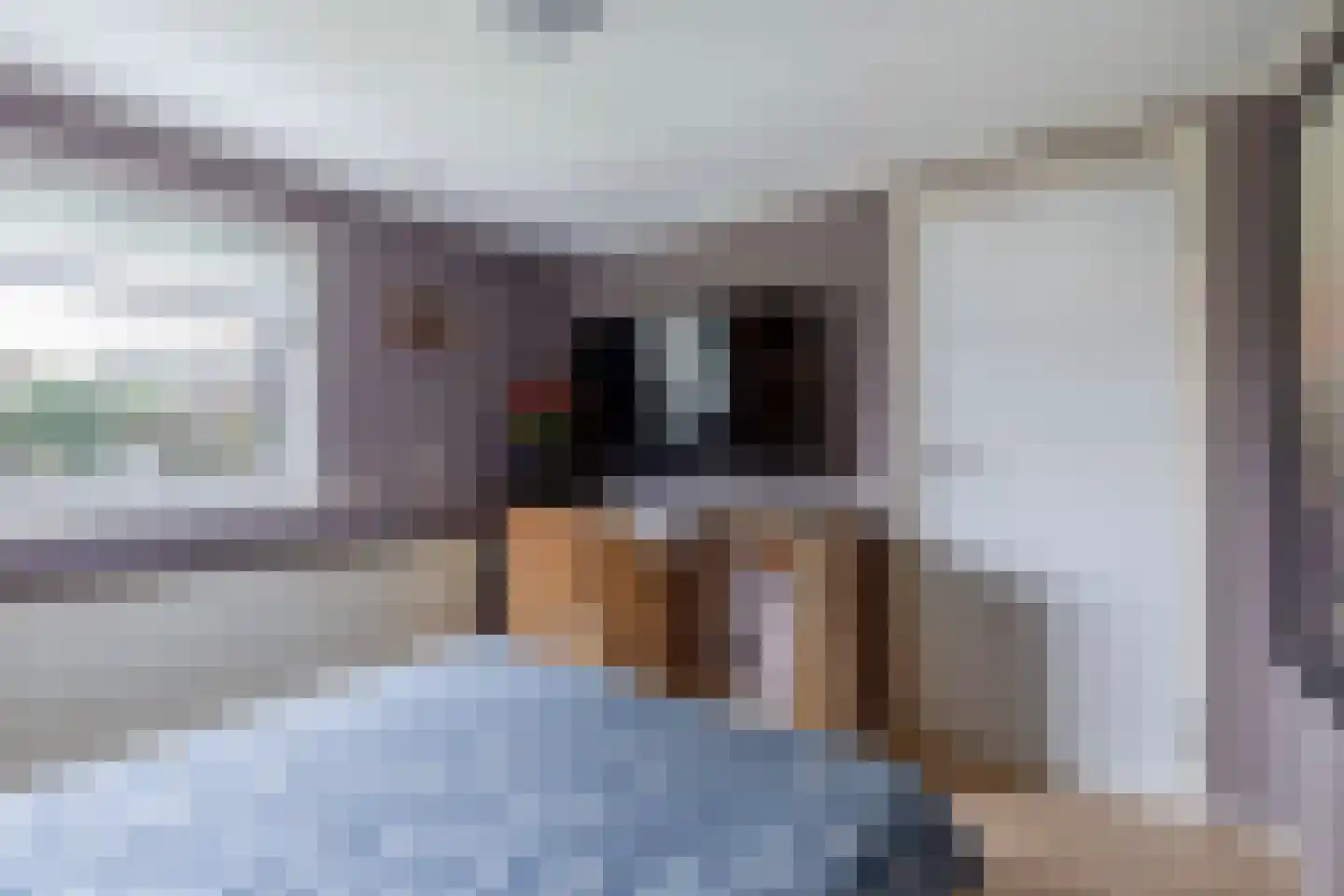 Bunschotenlaan 85 Emmeloord thumbnail 27
