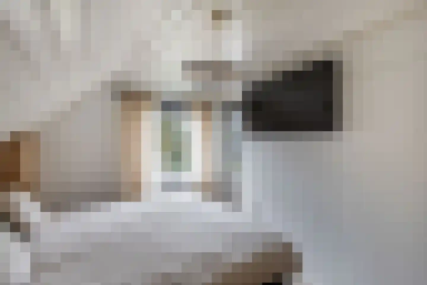 Bunschotenlaan 85 Emmeloord thumbnail 29