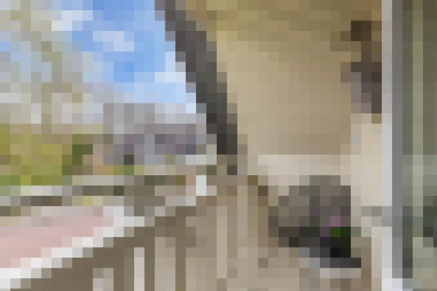 Bunschotenlaan 85 Emmeloord thumbnail 30