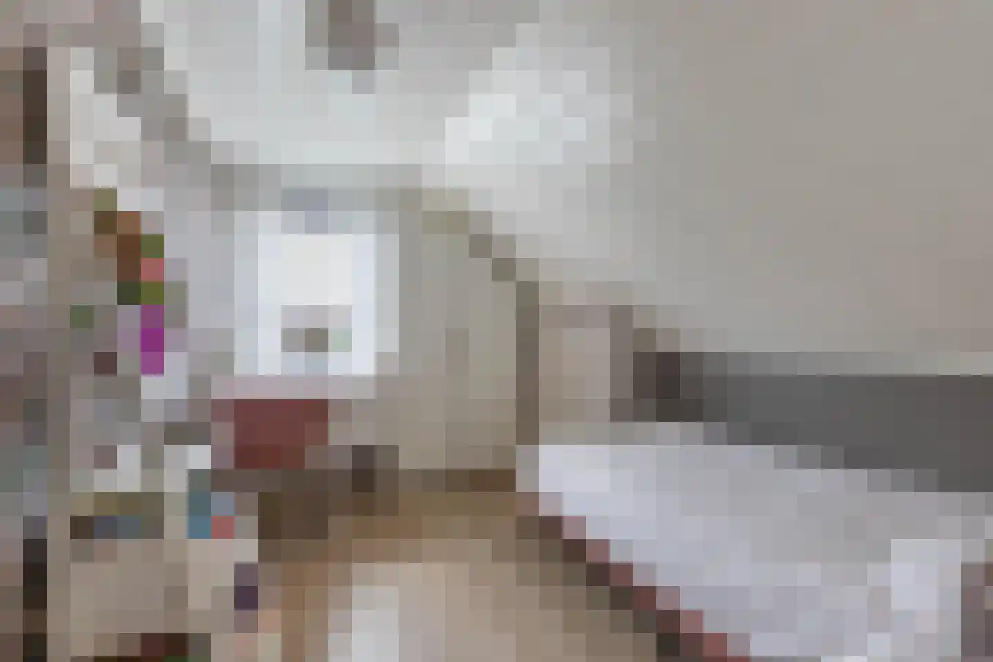 Bunschotenlaan 85 Emmeloord thumbnail 32