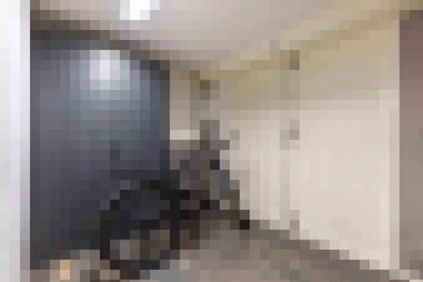 Bunschotenlaan 85 Emmeloord thumbnail 38