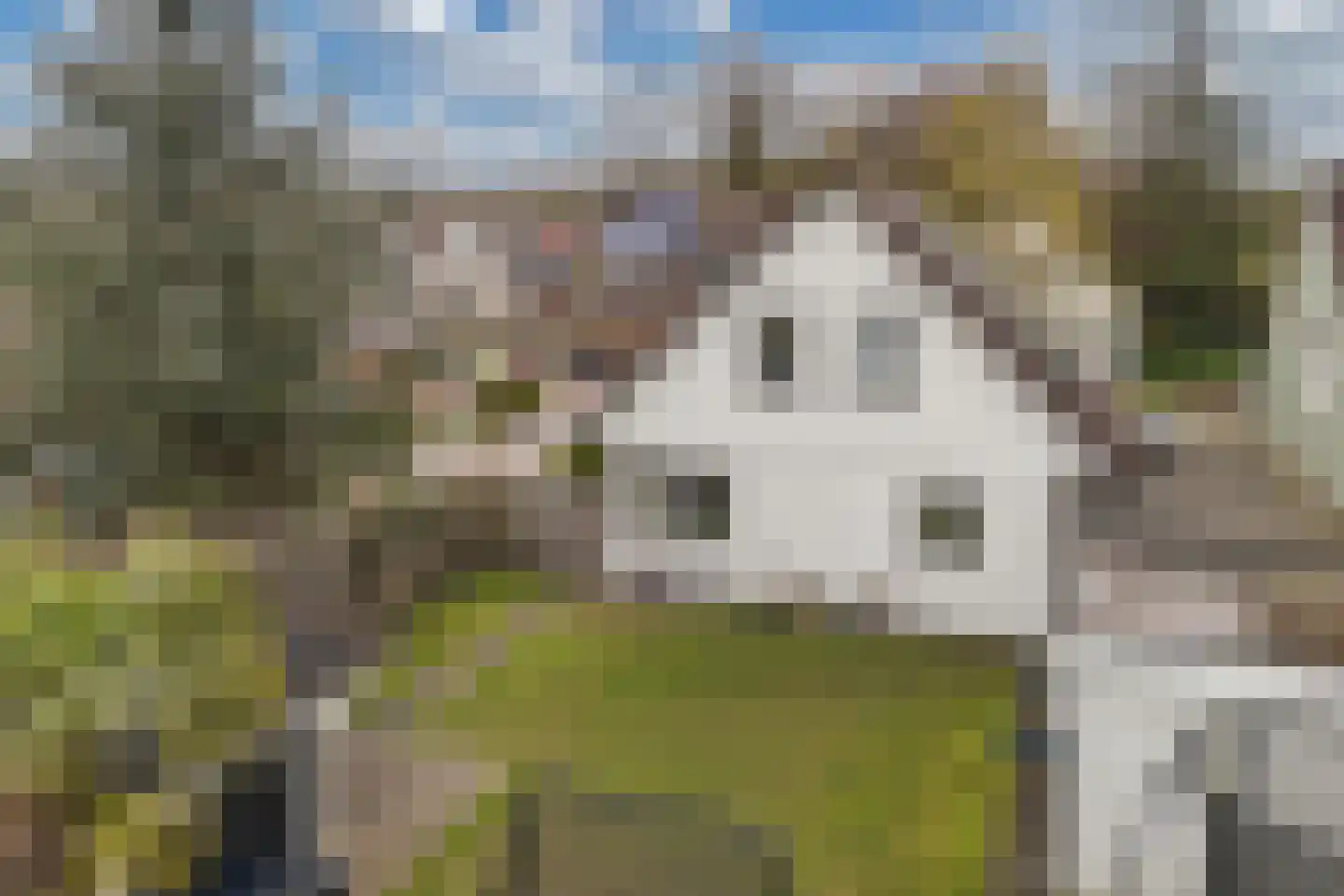 Bunschotenlaan 85 Emmeloord thumbnail 49