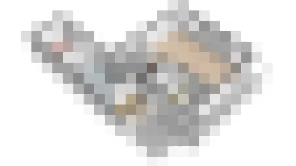 Bunschotenlaan 85 Emmeloord thumbnail 52