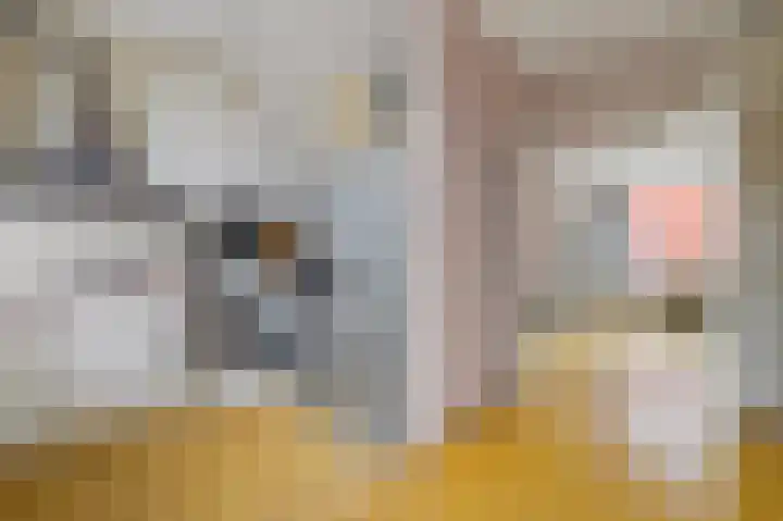 Bunschotensestraat 12 Den Haag thumbnail 9