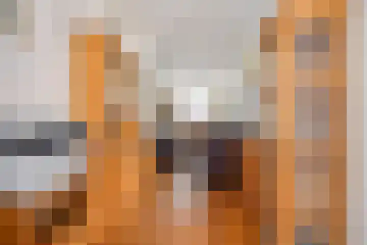 Bunschotensestraat 2 Den Haag thumbnail 10