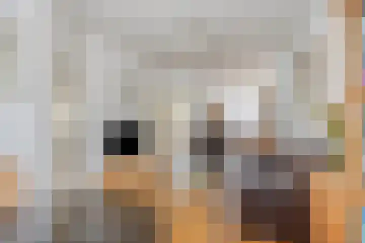 Bunschotensestraat 2 Den Haag thumbnail 4