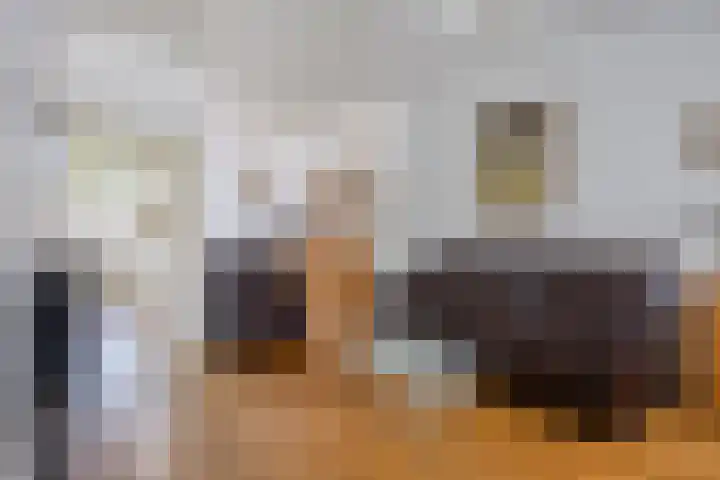 Bunschotensestraat 2 Den Haag thumbnail 5