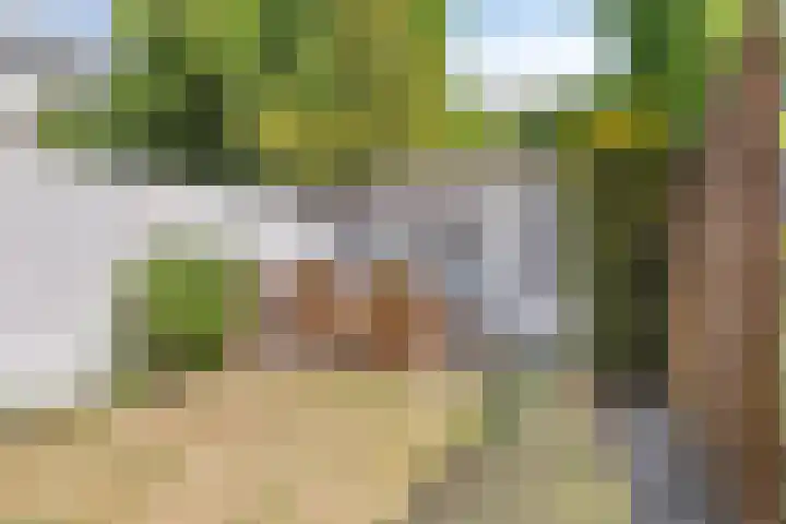 Bunschotensestraat 2 Den Haag thumbnail 8