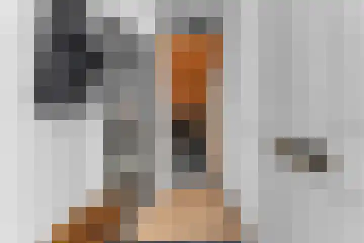 Bunschotensestraat 20 Den Haag thumbnail 6