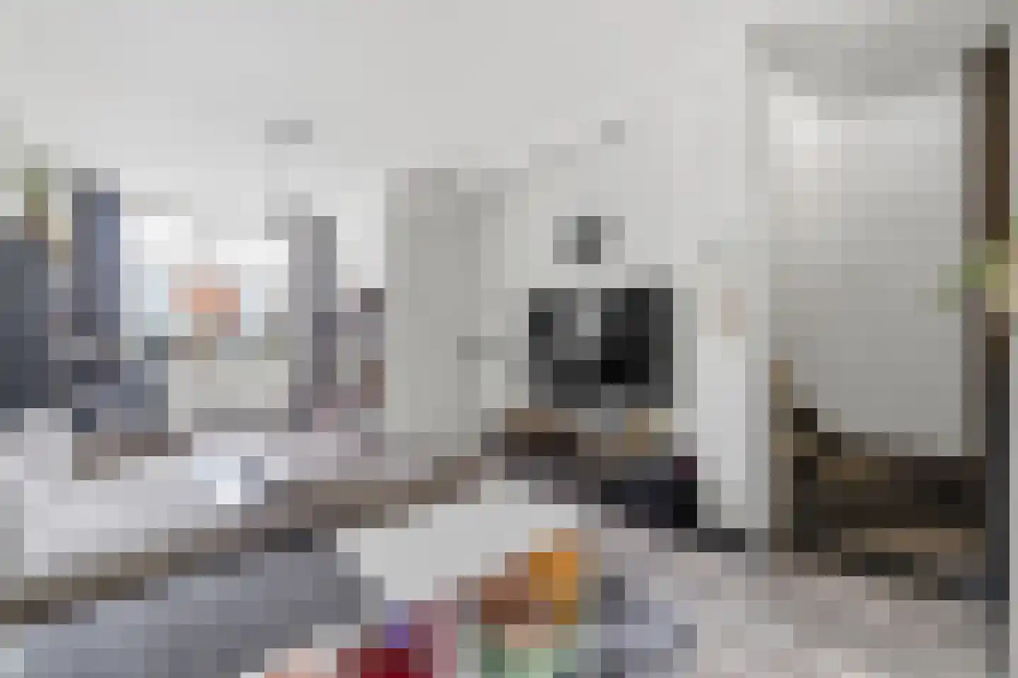 Bunschotensestraat 27 Den Haag thumbnail 10