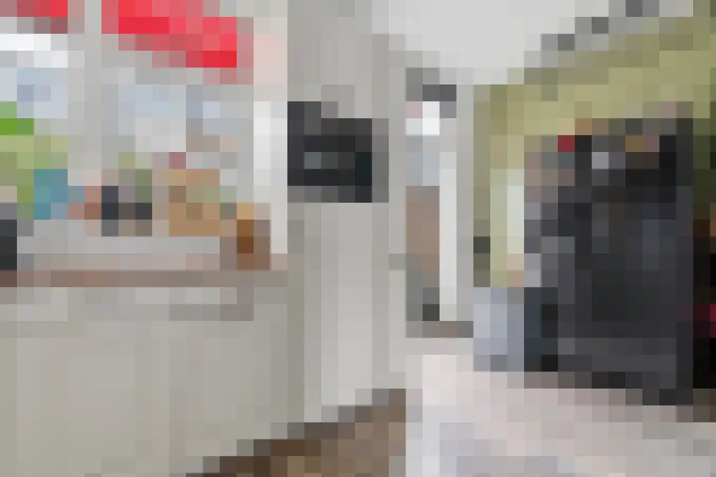 Bunschotensestraat 27 Den Haag thumbnail 14