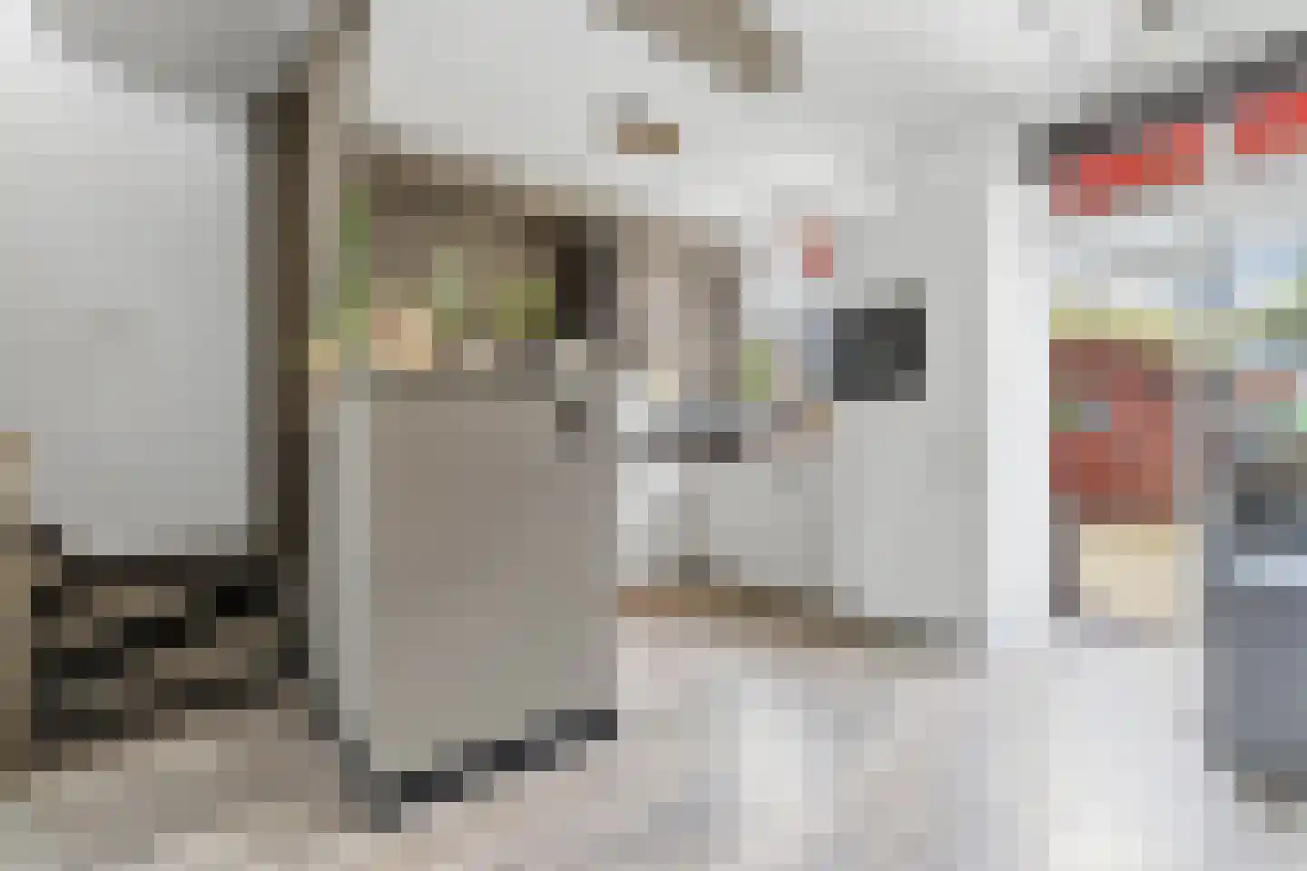 Bunschotensestraat 27 Den Haag thumbnail 17
