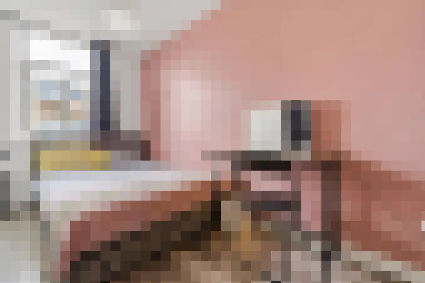 Bunschotensestraat 27 Den Haag thumbnail 32