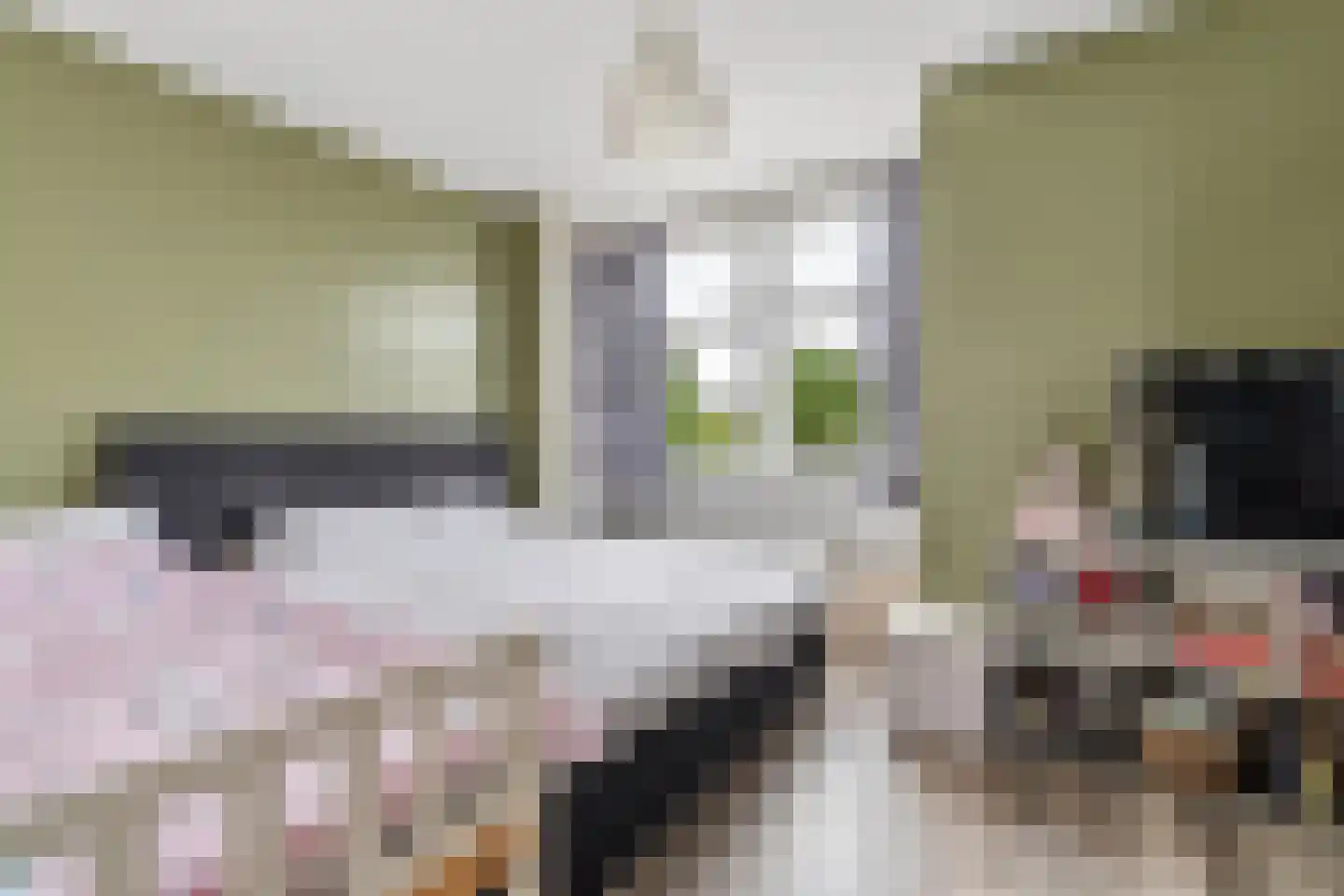 Bunschotensestraat 27 Den Haag thumbnail 37