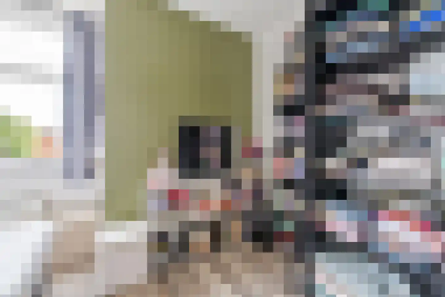 Bunschotensestraat 27 Den Haag thumbnail 38