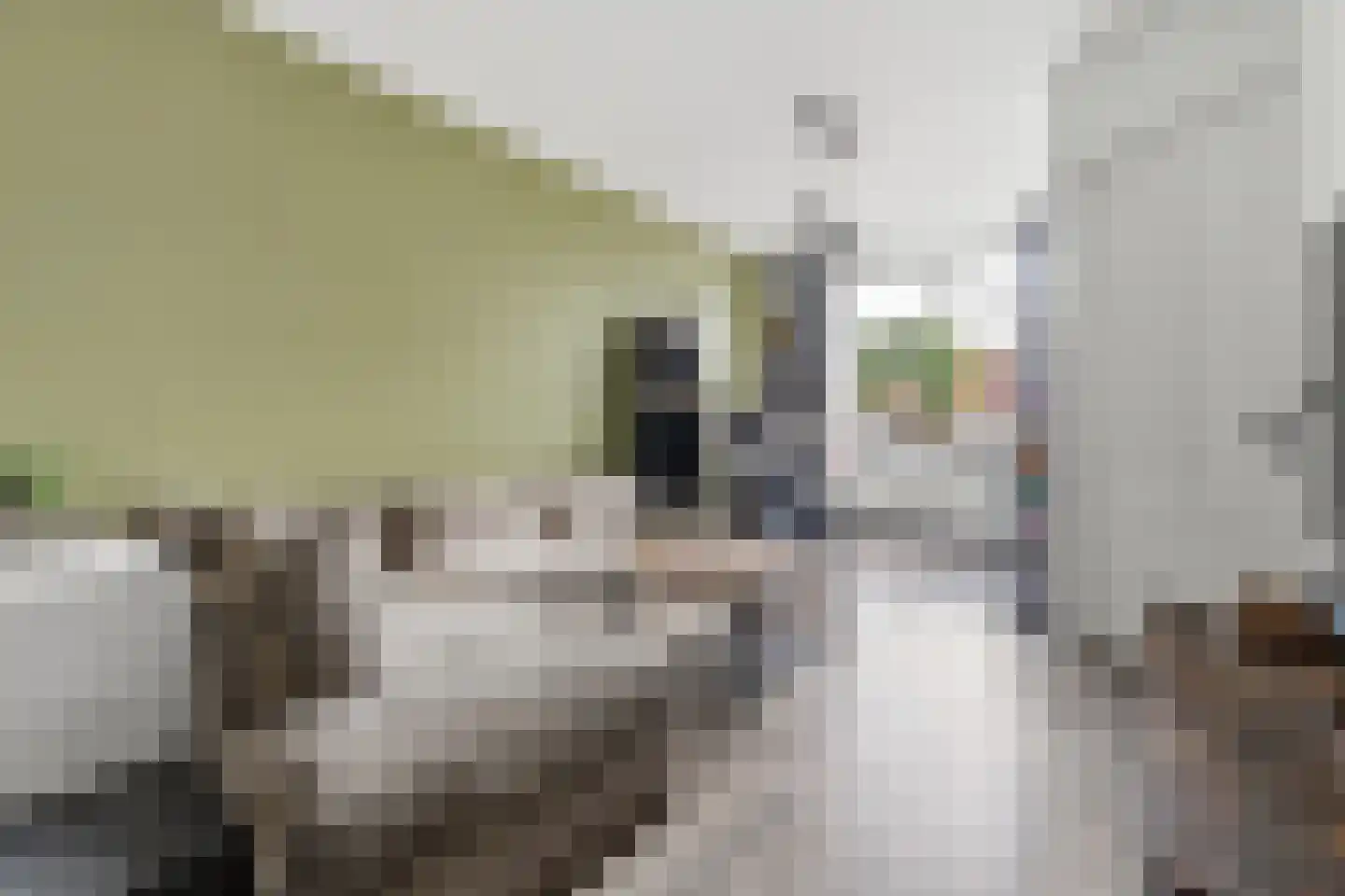 Bunschotensestraat 27 Den Haag thumbnail 9