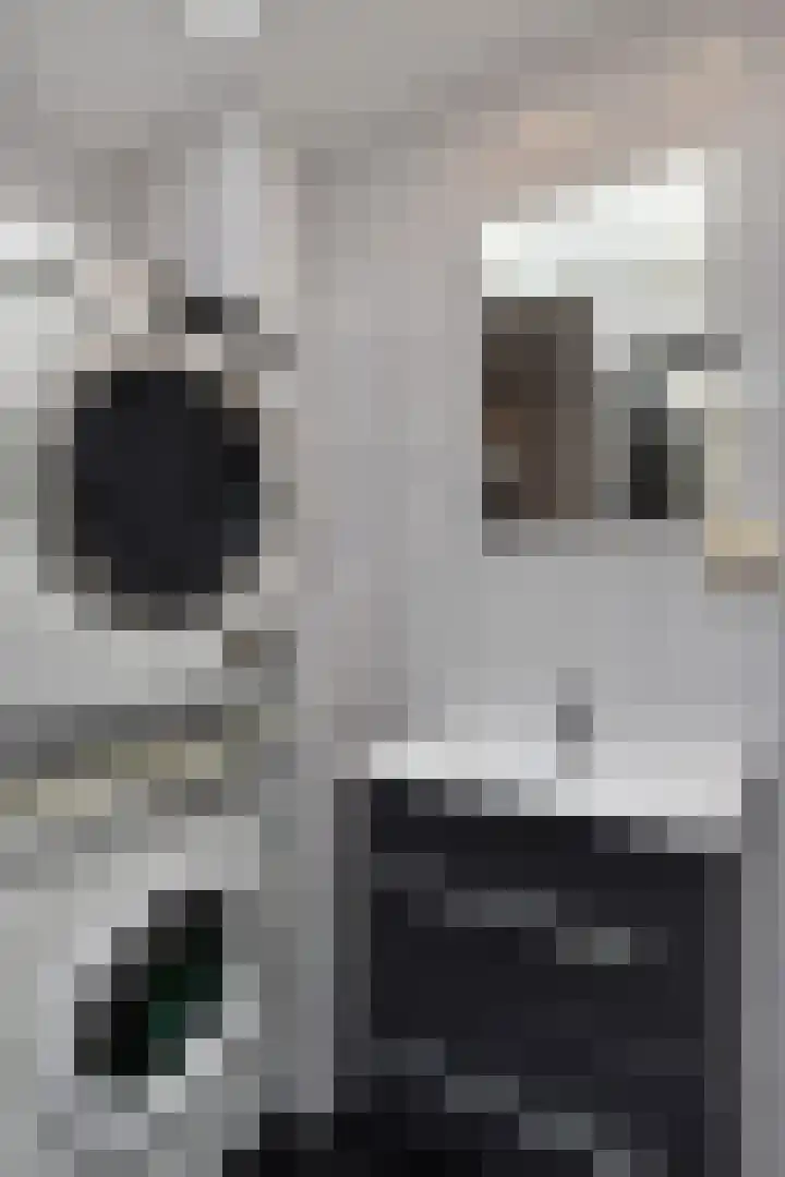 Bunschotensestraat 7 Den Haag thumbnail 18