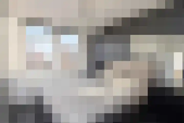 Bunschotensestraat 7 Den Haag thumbnail 21