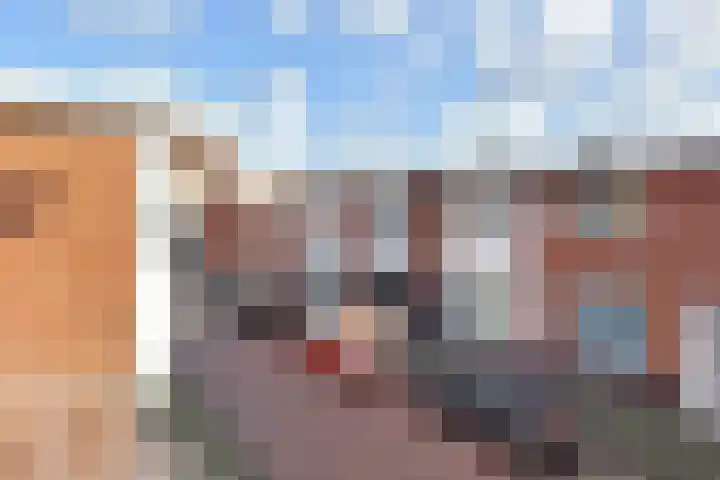 Bunschotensestraat 7 Den Haag thumbnail 34
