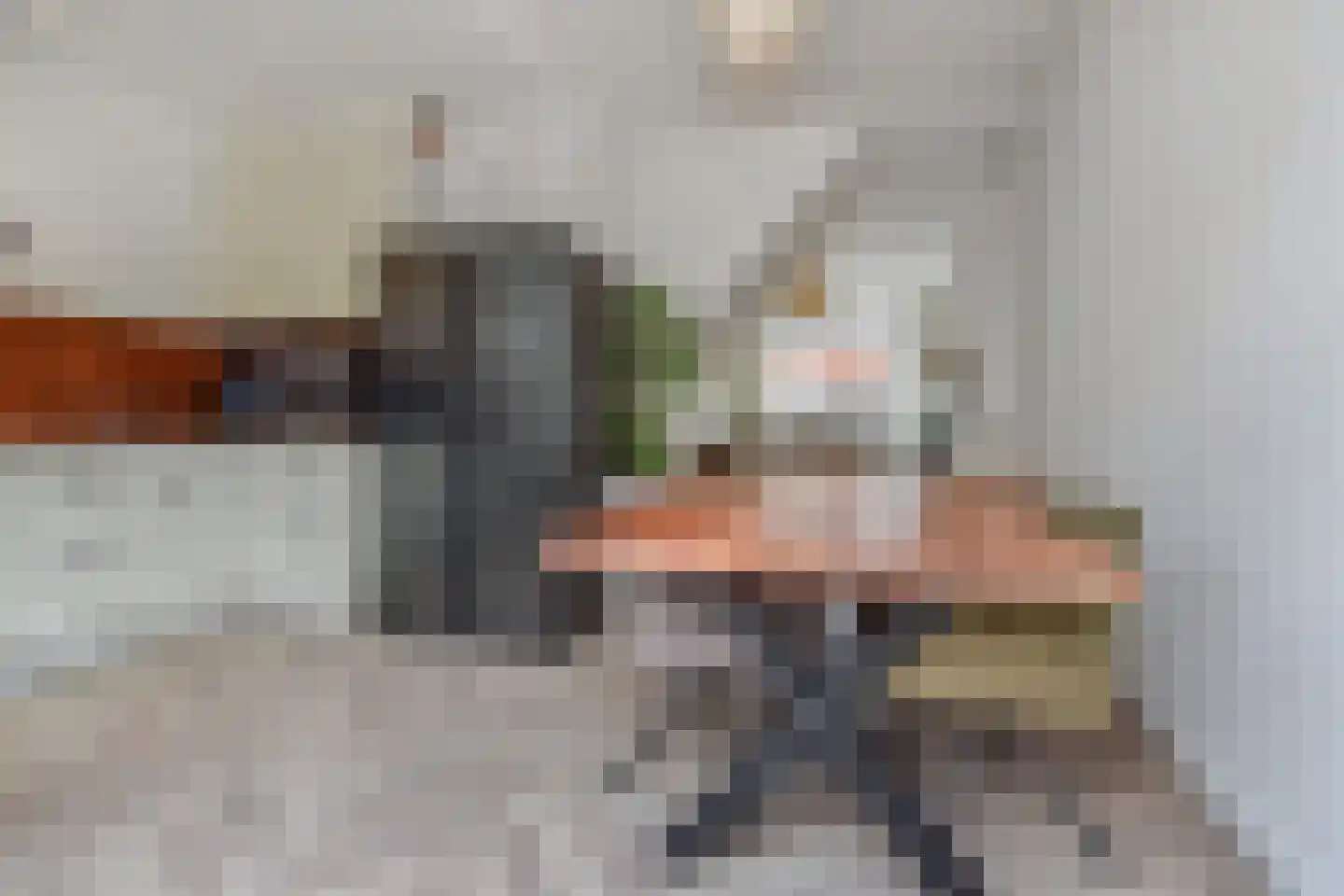Bunschotensestraat 95 Den Haag thumbnail 12