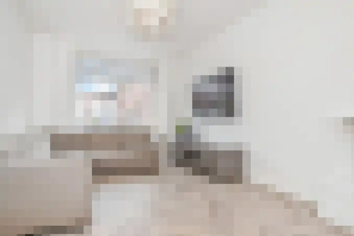 Bunschotensestraat 95 Den Haag thumbnail 6