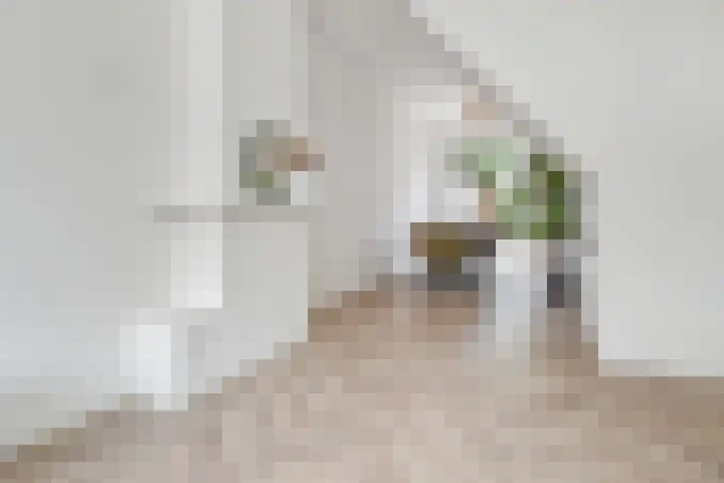Bunschotensestraat 95 Den Haag thumbnail 9