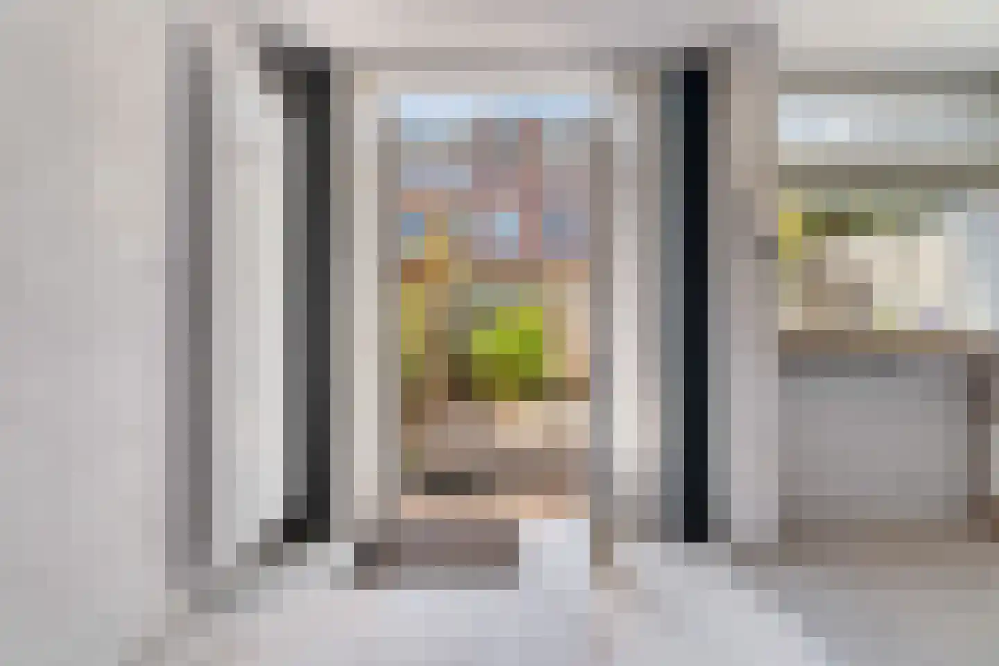 Bunschotensestraat 99 Den Haag thumbnail 20