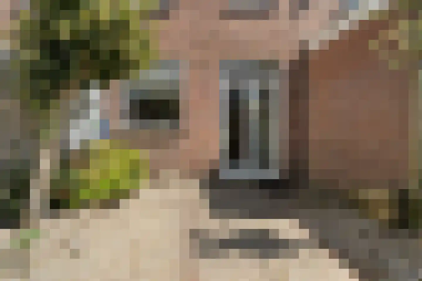 Bunschotensestraat 99 Den Haag thumbnail 33