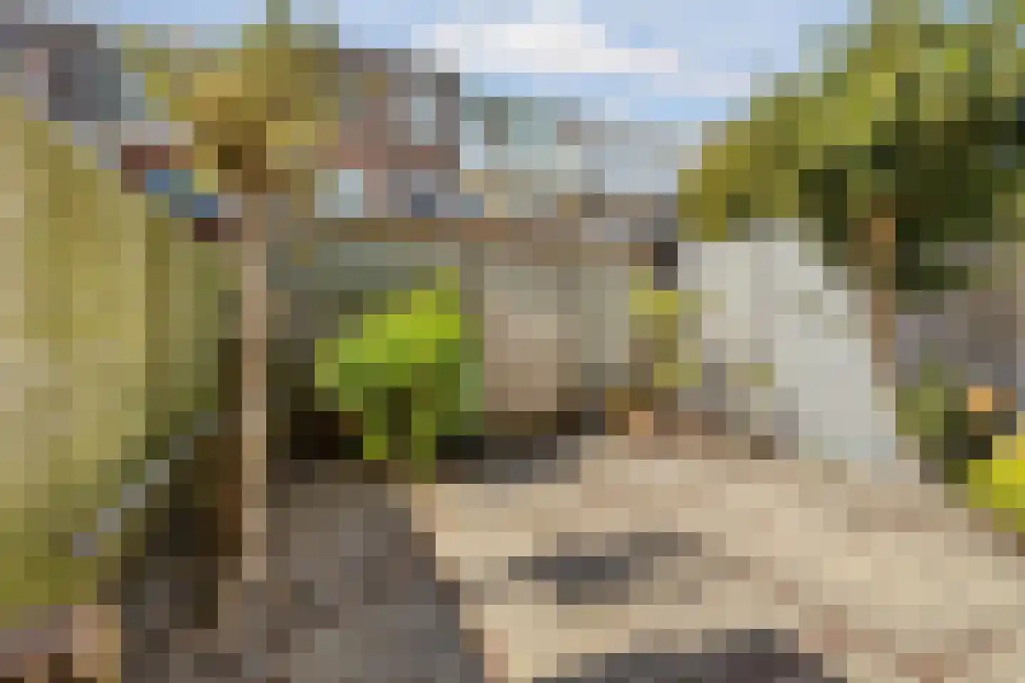 Bunschotensestraat 99 Den Haag thumbnail 35