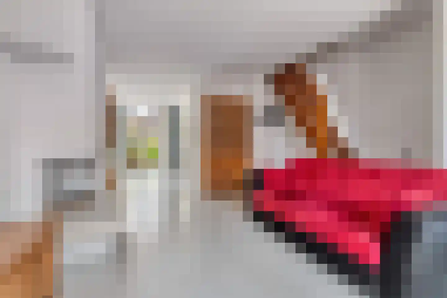 Bunschotensestraat 99 Den Haag thumbnail 9