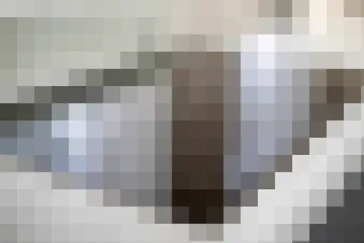 Bunschotenstraat 15 Almere thumbnail 19