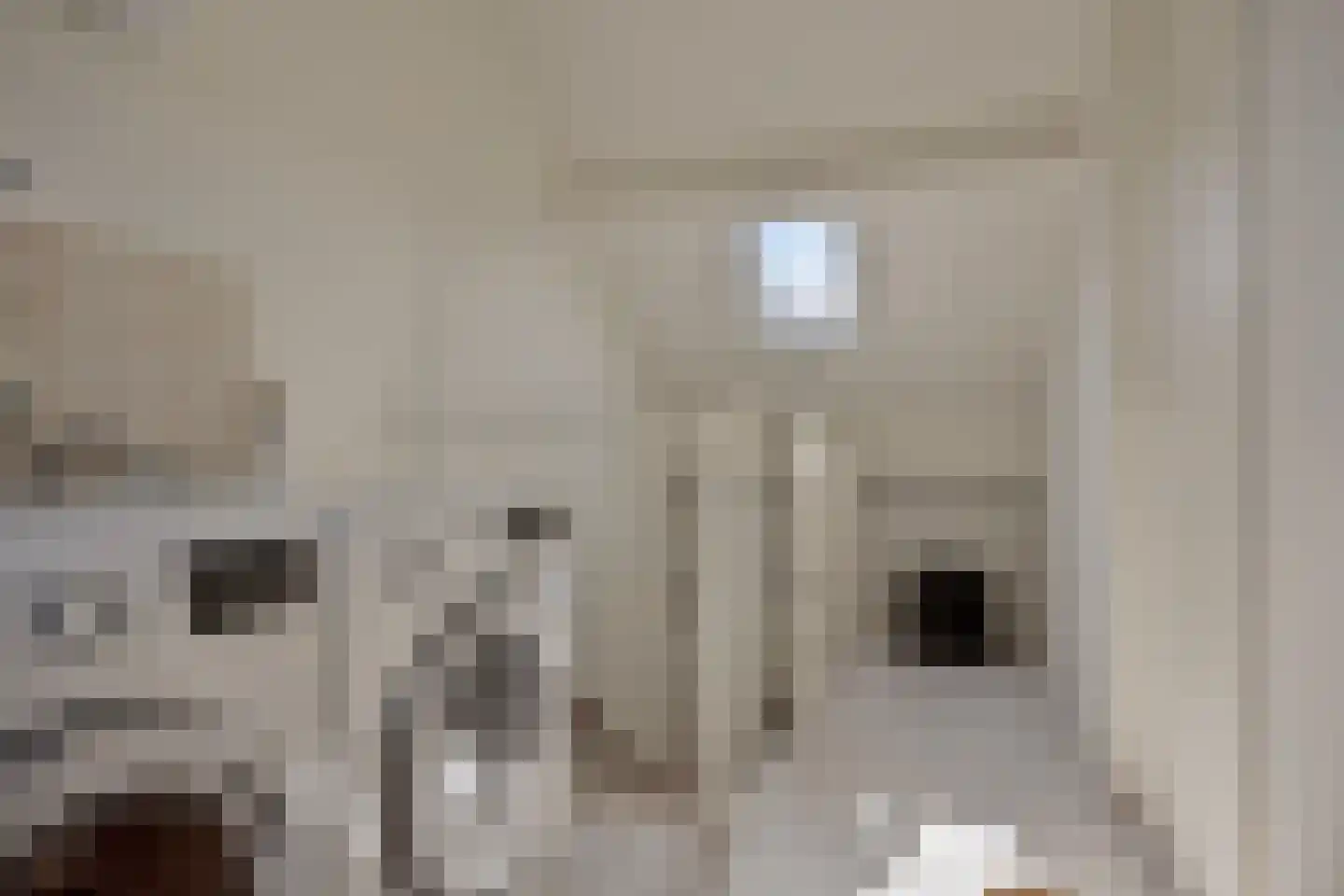 Bunschotenstraat 55 Tilburg thumbnail 26
