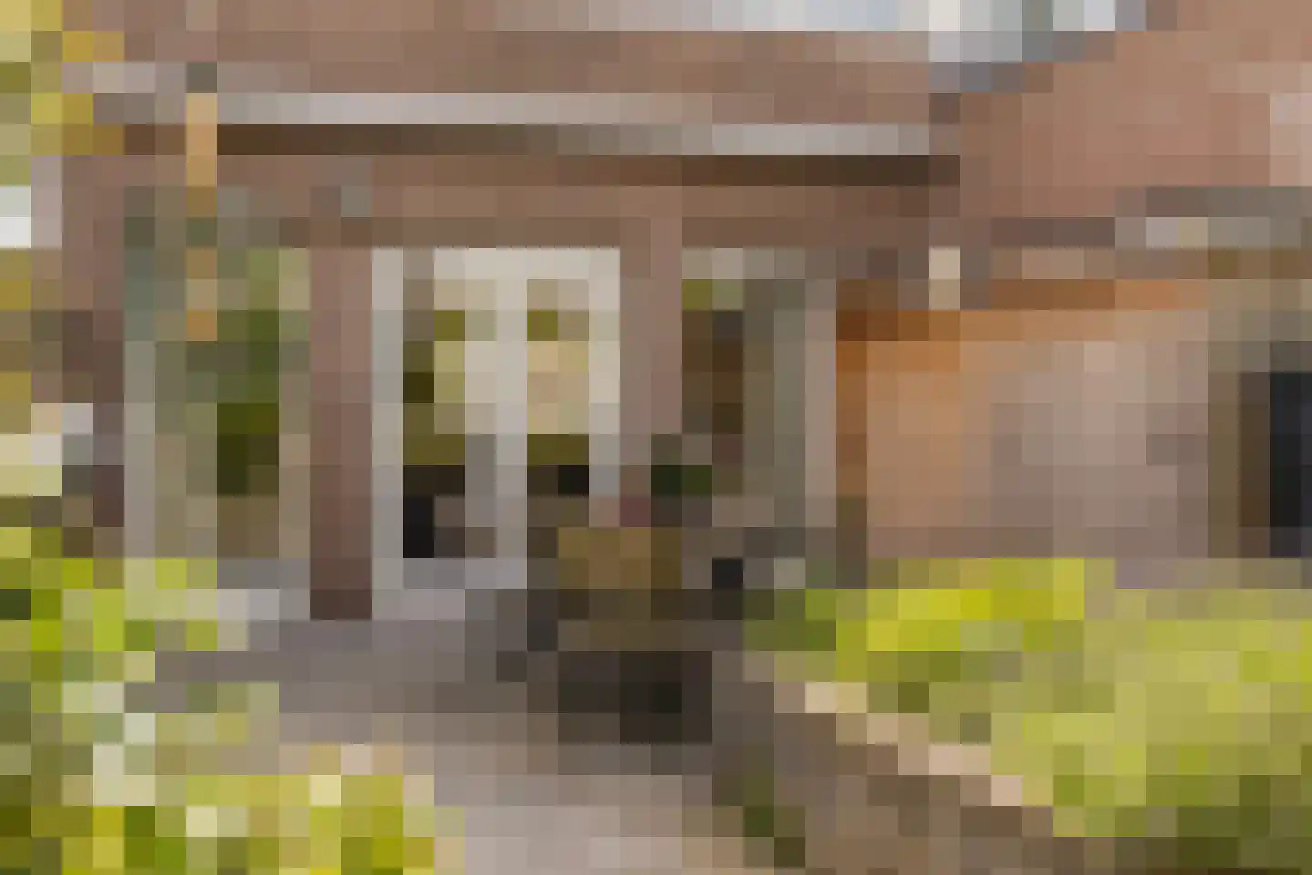 Bunschotenstraat 55 Tilburg thumbnail 31