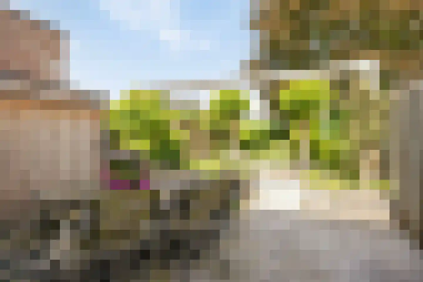Bunschotenstraat 55 Tilburg thumbnail 32