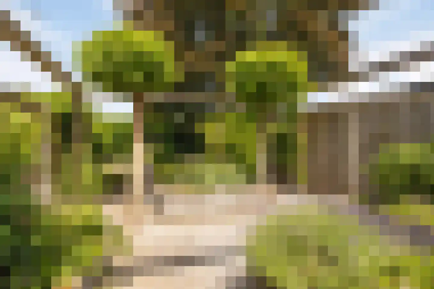 Bunschotenstraat 55 Tilburg thumbnail 33