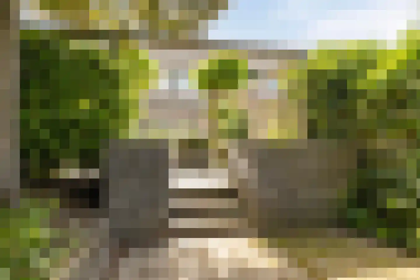 Bunschotenstraat 55 Tilburg thumbnail 36