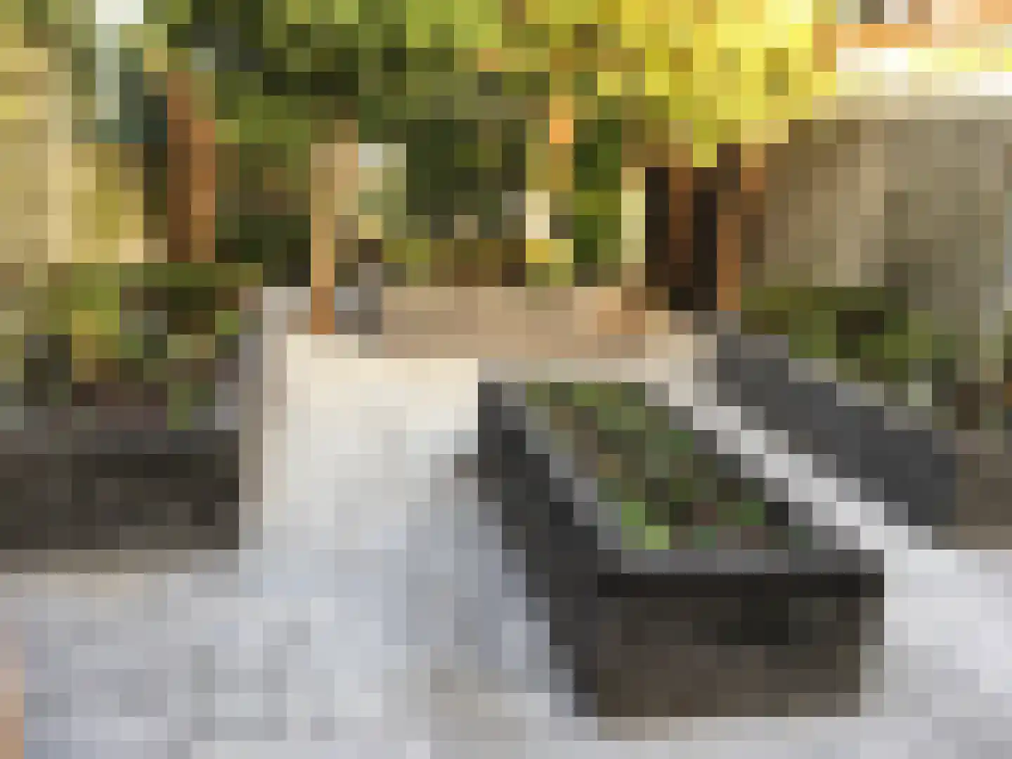 Bunschotenstraat 55 Tilburg thumbnail 38