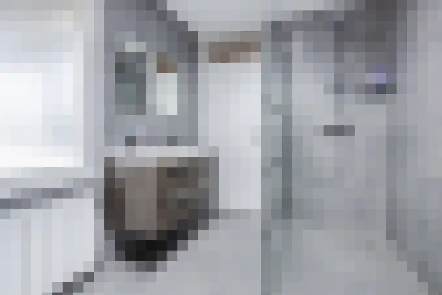 Bunschotenstraat 75 Tilburg thumbnail 19