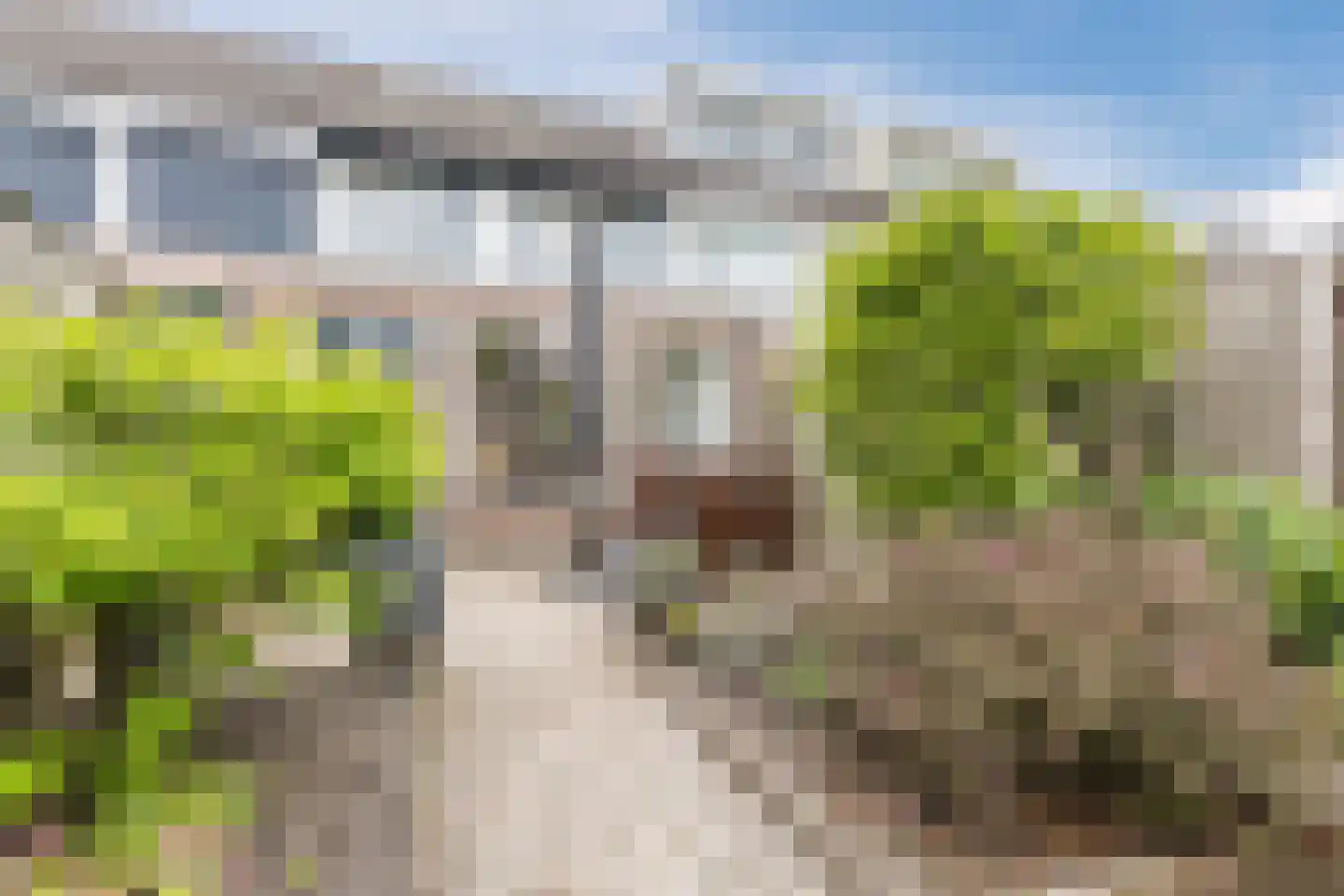 Bunschotenstraat 75 Tilburg thumbnail 26