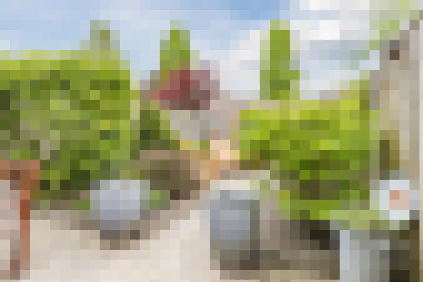 Bunschotenstraat 75 Tilburg thumbnail 27