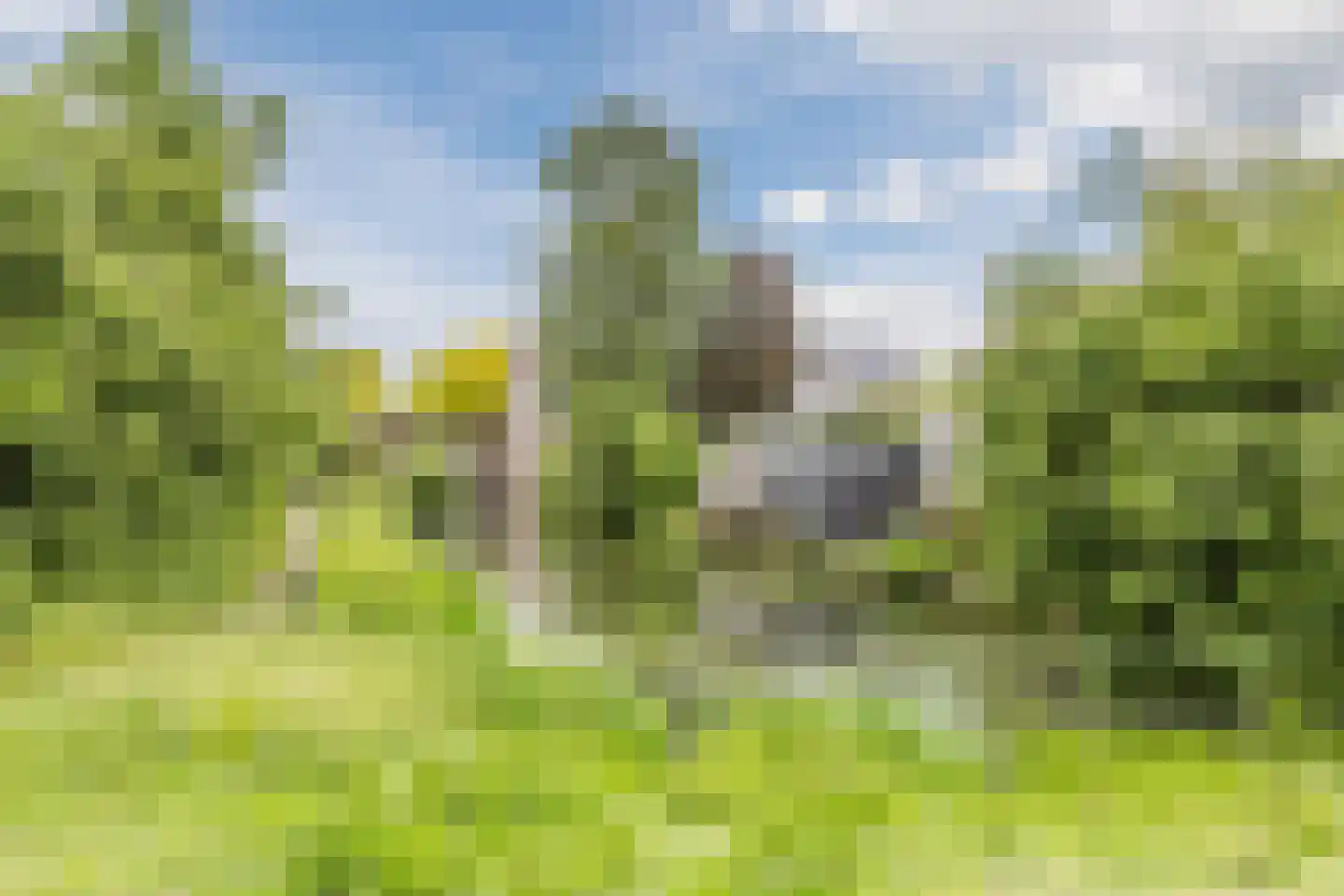 Bunschotenstraat 75 Tilburg thumbnail 35