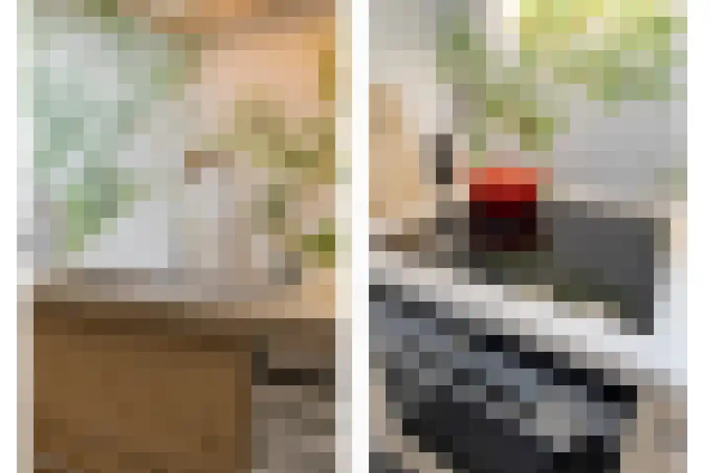Bunschotenstraat 77 Tilburg thumbnail 10