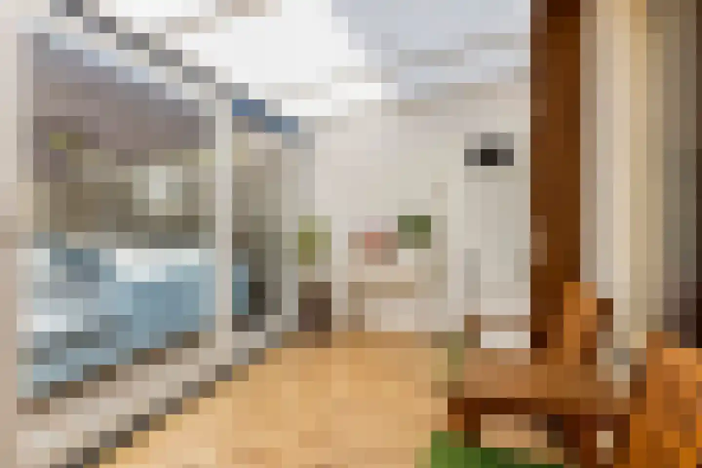 Bunschotenstraat 77 Tilburg thumbnail 17