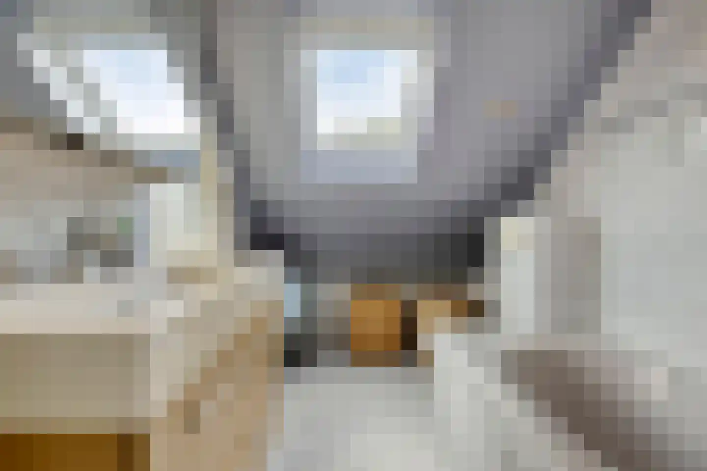 Bunschotenstraat 77 Tilburg thumbnail 24